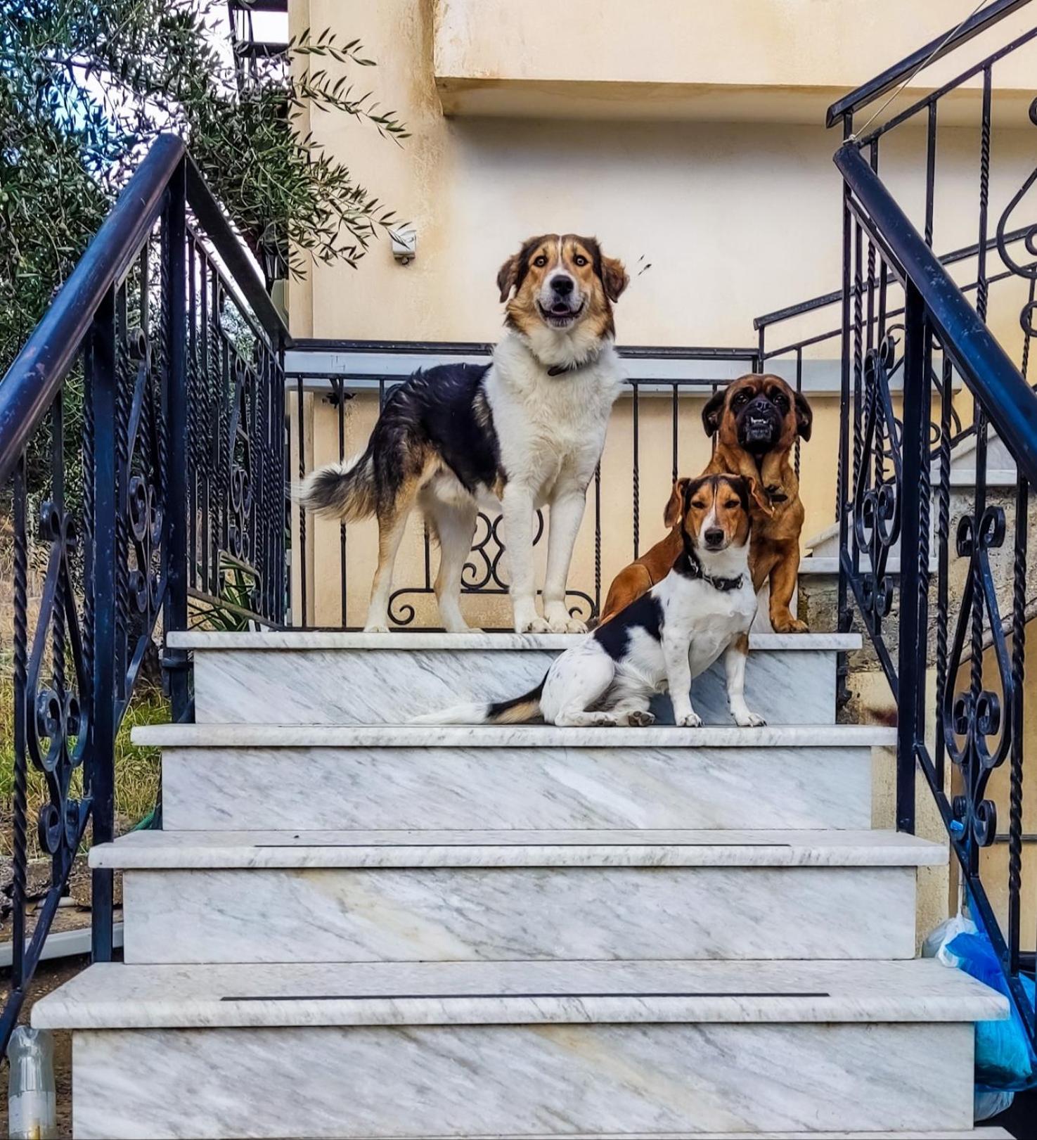 Your Spot West Peloponnese Shared Countryhouse Zacharo Exterior photo